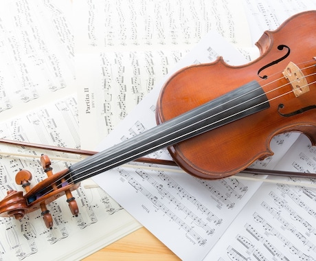 バイオリンに関して相談にのります 楽器の取り扱いの仕方、教本のアドバイス、弾き方のアドバイス イメージ1