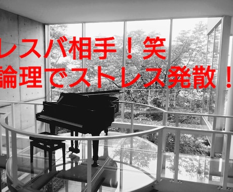 言葉のサンドバッグ！レスバ相手になります あなたの論理的思考で私とレスバ！言い負かしてストレス発散！ イメージ1