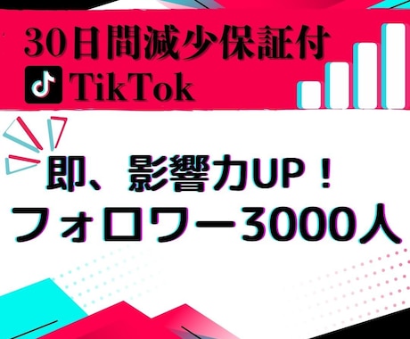 TikTokのフォロワー3000人増やします リアルな拡散力でフォロワー急増！視聴者を惹きつける！ イメージ2
