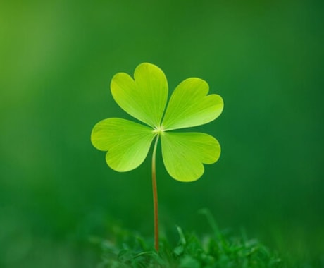 現役・公認心理師が人間関係の悩み☔️色々聴きます ☘️支援歴14年！丁寧に寄り添い、あなたの心を少し軽く☘️ イメージ2