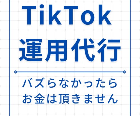 総再生数150万以上の僕がtiktok代行します 企画考案から動画編集までマルっと任せてください！ イメージ1