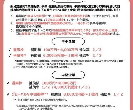 事業再構築補助金のヒアリングシートをお送りします 何を書いたら分からない人へ！診断士による採点項目をカバー イメージ1
