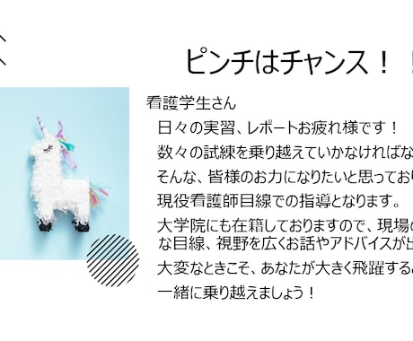 看護学生のピンチお助けいたします 「もう限界・・・・・」そんな看護学生、一緒に考えます！ イメージ1