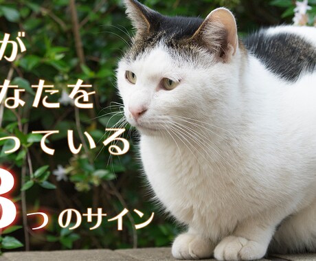 Youtubeサムネイルを制作いたします Youtube動画の「顔」を作りましょう！ イメージ2