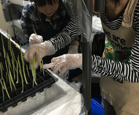起業に関しての雑談します こんなサービスは？失敗談は？色々おしゃべりしましょう イメージ2