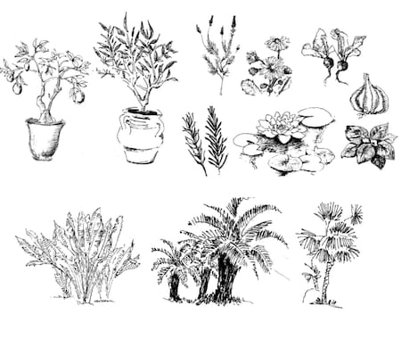 植物を使った壁紙やイラストを作成します あなたの好きな植物を絵にしてみませんか？ イメージ1