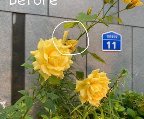 画像加工承ります 人物削除、背景削除、背景透過等 イメージ1