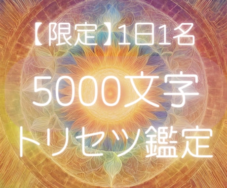 5000文字であなただけのトリセツを鑑定します 1日1名限定✨あなたの全てを知る。本来の力を覚醒させたい人用 イメージ1