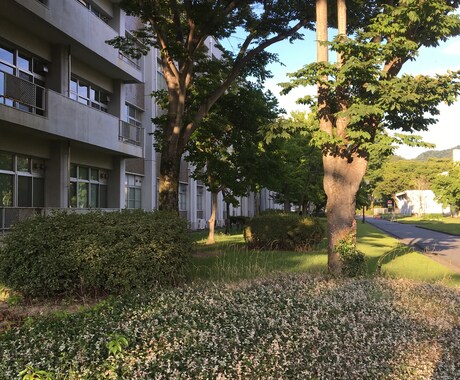 女子大生が就活・恋愛・愚痴・相談聞きます *なんでも聞きます!秘密守ります!* イメージ2