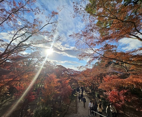あなたの悩みに寄り添います 恋愛・人間関係なんでもご相談ください♡返信迅速♡ イメージ2