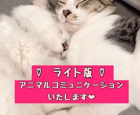 虹組さん✰現役さんからのメッセージを届けます １問＋伝言ライト版♡心を紡ぎ、愛を紡ぐお手伝いをいたします♡ イメージ1