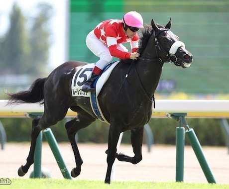 ダービー２頭出し１口馬主が推奨馬５頭を教えます 一口馬主で勝てる馬をキャロット・東サラの２クラブ限定で推奨！ イメージ2