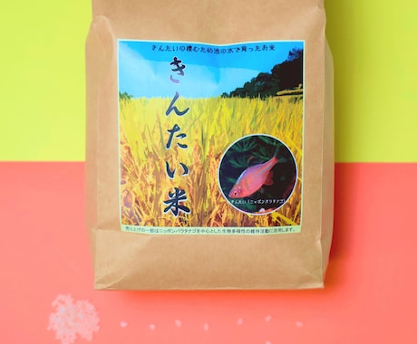 売上アップに効果的な商品写真を撮影します 安い！綺麗！早い！な写真撮影はいかがでしょうか イメージ2