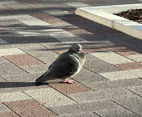 引きこもり：現状があなたに伝えたい事を降ろします 自分で自分がわからない、何が起きてる？引きこもり生活の意味 イメージ1