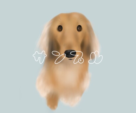 大切な家族（動物）のイラスト描きます ふあっと温かみのあるイラスト♡ イメージ2