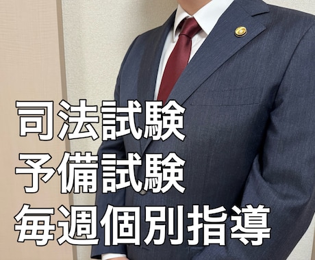 現役弁護士が司法試験合格まで毎週個別指導します 週１回30分、勉強方法や内容の相談に乗ります！ イメージ1