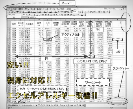 エクセル初心者コンサルします 猫の手も借りたい、そんな痒いところを是非利用ください!! イメージ2