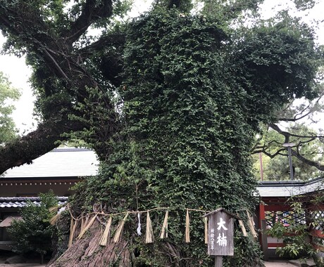 福岡パワースポット三社参り。一社で代理参拝します 願主様の代わりに正式な参拝方法で筥崎宮を参拝します。 イメージ2