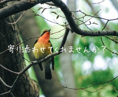 放（話）してみませんか？　不安や不満、聴きます いつも相談される側（聞く側）にまわってしまう人待ってます。 イメージ2