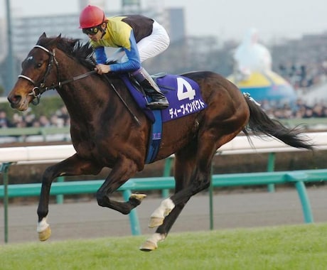 競馬】社会人、学生必見！競馬の必勝法ます 血統データベースで驚異の回収率！！毎週が給料日！！！ イメージ1