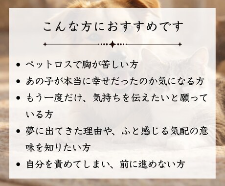 ペット鑑定｜大切なあの子の気持ちを霊視します 虹の橋を渡った愛する家族からのメッセージをお届けします イメージ2