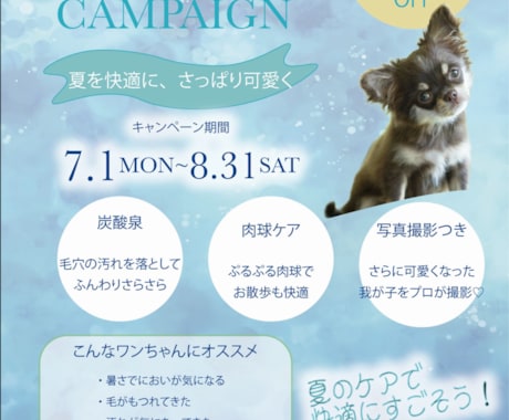 ペットタクシー、サロン等のチラシをお作りします ペット関連の新規開店のお手伝いさせてください！ イメージ2