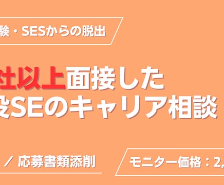 現役SEが皆さんが困っているIT転職の相談にます 30社面接＆採用担当の現役社内SEが本音の生存戦略を伝授 イメージ1