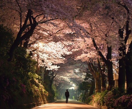 潜在能力の覚醒・あなたの本来の才能を覚醒させます あなたに宿る能力を読み取り、本来の未来へとお導きいたします イメージ1