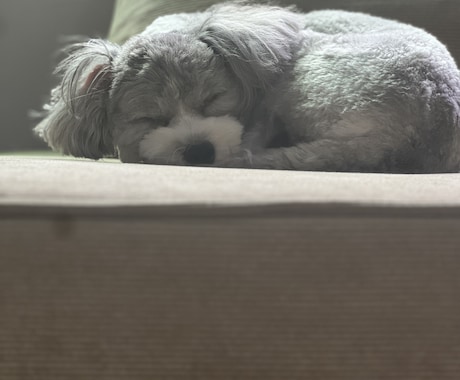 霊視による恋愛相談、人生相談を得意にしとます 軽いお悩みでも力になれればと思います イメージ1