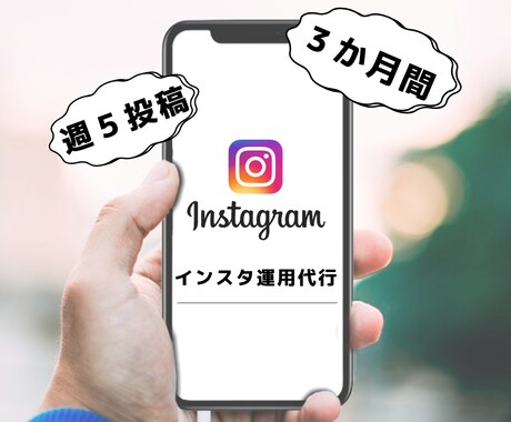 現役のプロが３か月間インスタ運用代行します 週５投稿！投稿枚数多くても追加料金なし！ イメージ1