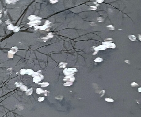 海や空、花など主に自然を対象とした写真を提供します 鮮明でイキイキとした風景を、静かで朧げな写真で残します！ イメージ2