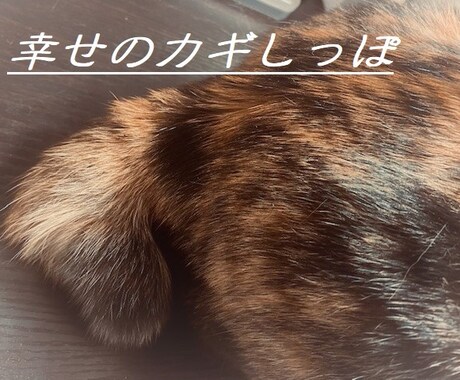 基本的性格を占った方、限定！　お悩みお聞きします 一番話したい事を一つだけ聞かせて下さい(*´ω｀) イメージ1