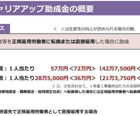 キャリアアップ助成金の解説・アドバイスします 最大1440万の大型助成金！活用されている会社も多いです！ イメージ2