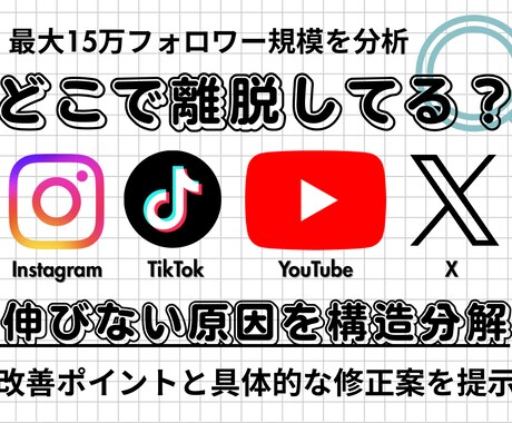 先着5名！投稿を分析し離脱ポイントを特定します SNS制作歴10年の知見を凝縮。最短で伸びる投稿へ導きます。 イメージ1