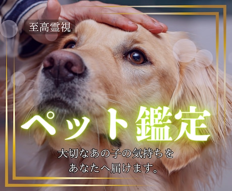 あなたの大事なペットの本当の気持ちを伝えます あの子の本音を知って、もっと大切にしたいあなたを導きます イメージ1