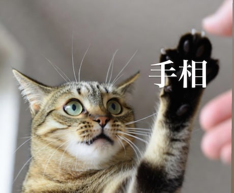 即レス／手相鑑定します 恋愛・仕事・家庭事情なんでもOK！相談なくても手相みます！ イメージ1