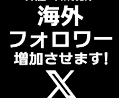 X外国人フォロワー拡散して１０００人増加させます フォロワー１０００人〜３００００人増加させます イメージ1