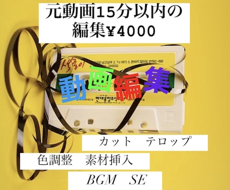元動画15分以内のカット、字幕などの編集をします 費用を抑えたい方、細かい要望をしたい方は是非！モザイク等も可 イメージ1