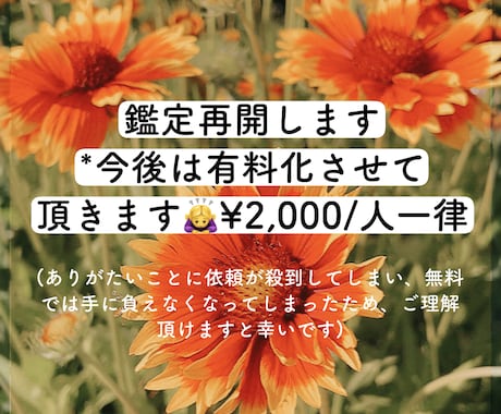 非対面、匿名で手相鑑定を行っております お悩みを抱えた方、困っている方の力になりたい。 イメージ1
