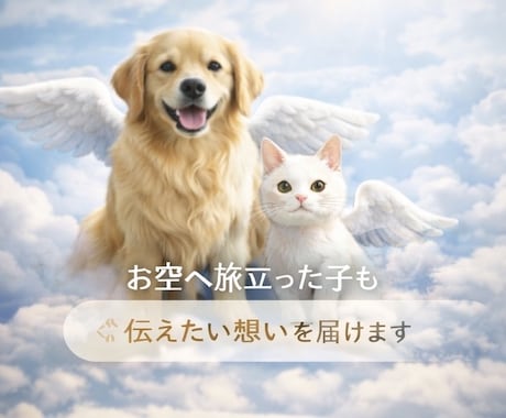 ペットの本音を伝えるアニマル通信致します 行動の理由や本心を丁寧に読み取ります イメージ2