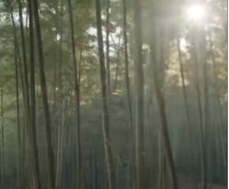 一霊四魂を１か月注入します ４つの魂である幸魂　奇魂　和魂　荒魂をあなたに注入します イメージ1
