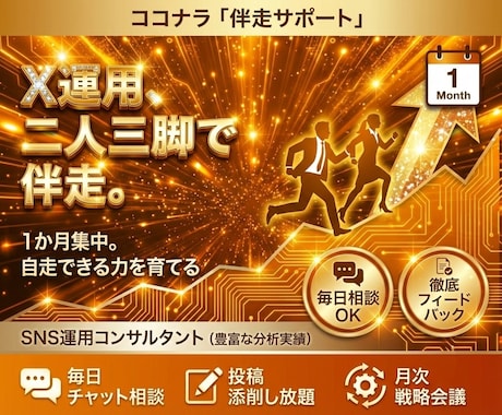 伴走！プロSNSコンサルがX運用を1ヶ月支援します 孤独な運用を卒業。SNSコンサルが毎日チャットで徹底サポート イメージ1