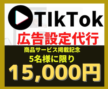 TIkTokの広告設定代行します TikTok広告/動画広告/広告設定/ネット広告 イメージ1
