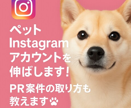 ペットインフルエンサーになりませんか？相談乗ります Instagramで案件の獲得法など！丁寧に診断＆アドバイス イメージ1