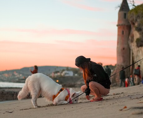 留学相談(学生・社会人)キャリア形成相談承ります 社会人10年を経て米国留学をしたからこそわかる留学のアレコレ イメージ2