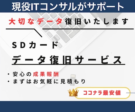 大切なSDカードのデータを復元・復旧します 上限9000円だから安心◎復旧不可の場合は全額返金いたします イメージ1