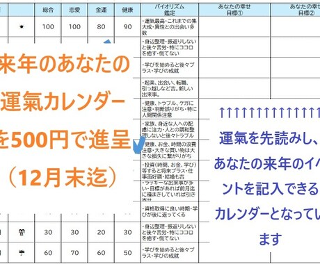 500円で来年度運氣鑑定書を進呈（月毎）します 生年月日から、来年の運氣バイオリズムカレンダーを進呈 イメージ1