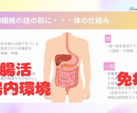 子育てに役立つ栄養学の基礎知識をお伝えします 元気で賢い子に育てたいなら知っておきたい【食物繊維】の基本 イメージ2
