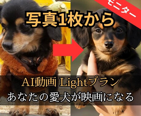 写真1枚でOK！愛犬のショート映画を作ります SNS総フォロワー１２万人！ AI技術で愛犬を映画の主人公に イメージ1