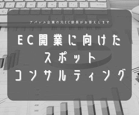 EC開業に向けたスポットコンサルティングをします 自社、各モールの経験を活かし、EC開業への道筋をお示しします イメージ1